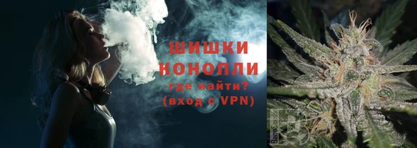 крисы Няндома